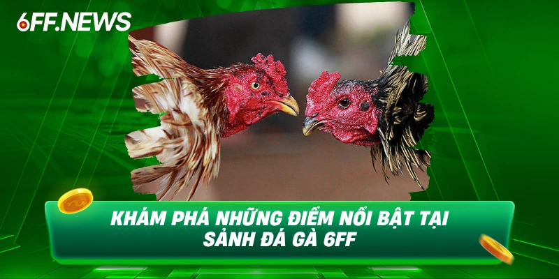 Khám phá những điểm nổi bật tại sảnh Đá Gà 6FF
